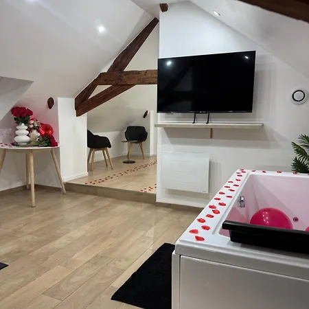 Апартаменты Le Cocon Du Leman Un Espace Cosy Ou Vous Retrouver Амфион-ле-Бен