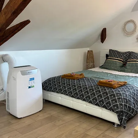 Апартаменты Le Cocon Du Leman Un Espace Cosy Ou Vous Retrouver Амфион-ле-Бен
