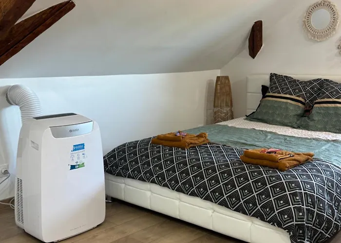 Апартаменты Le Cocon Du Leman Un Espace Cosy Ou Vous Retrouver Амфион-ле-Бен