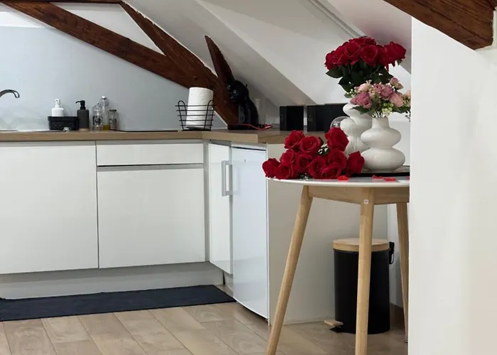 Апартаменты Le Cocon Du Leman Un Espace Cosy Ou Vous Retrouver